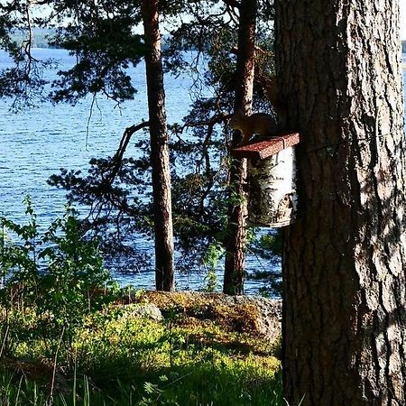 Club House Hotelli Kaipolan Ranta Jamsa Exterior photo