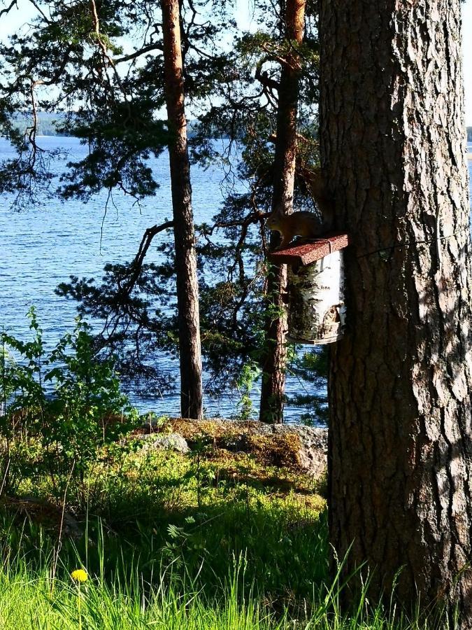Club House Hotelli Kaipolan Ranta Jamsa Exterior photo